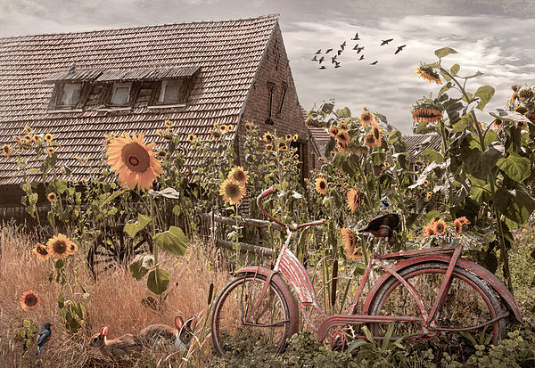 Debra and Dave Vanderlaan - Bicycle in the Country Sunflowers