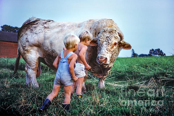 Kim Lessel - Big Friendly Bull and the Kids
