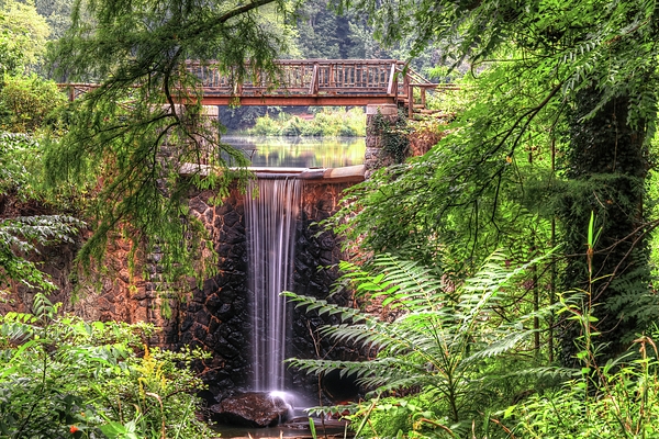 Waterfall Art