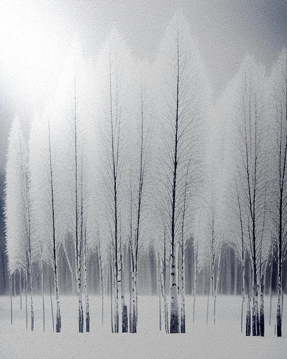 Lorraine Caporaso Photography - Birch Tree Feathers