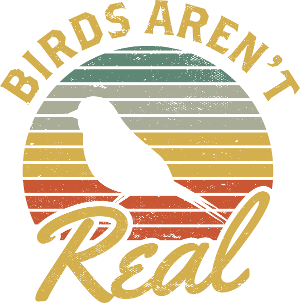 Birds Aren't Real Vintage T-Shirt 