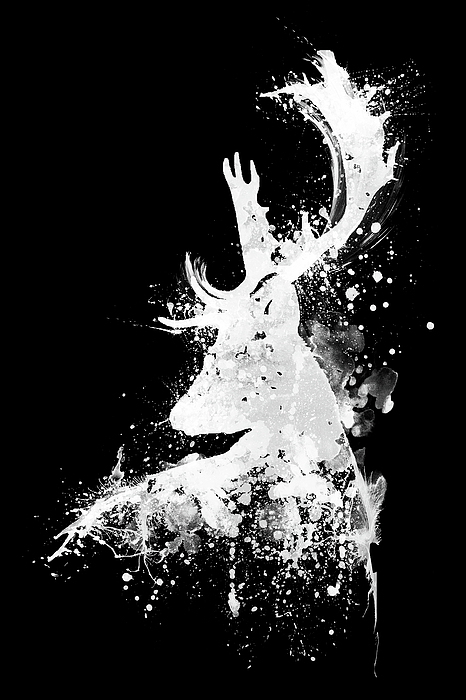 Marian Voicu - Black and White Deer Head Watercolor Silhouette - Reversed Colors