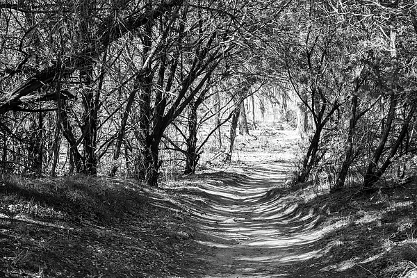 Black And White Photographs