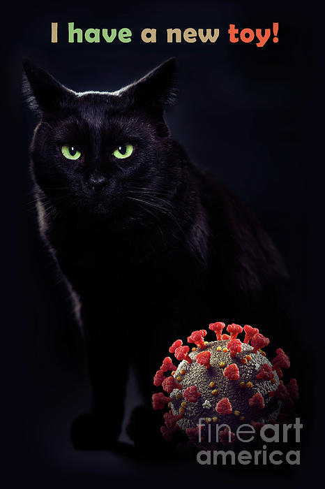 Black Cat with Coronavirus COVID-19 toy COVID humor joke funny T-shirt Art Print Yoga Mat for ...