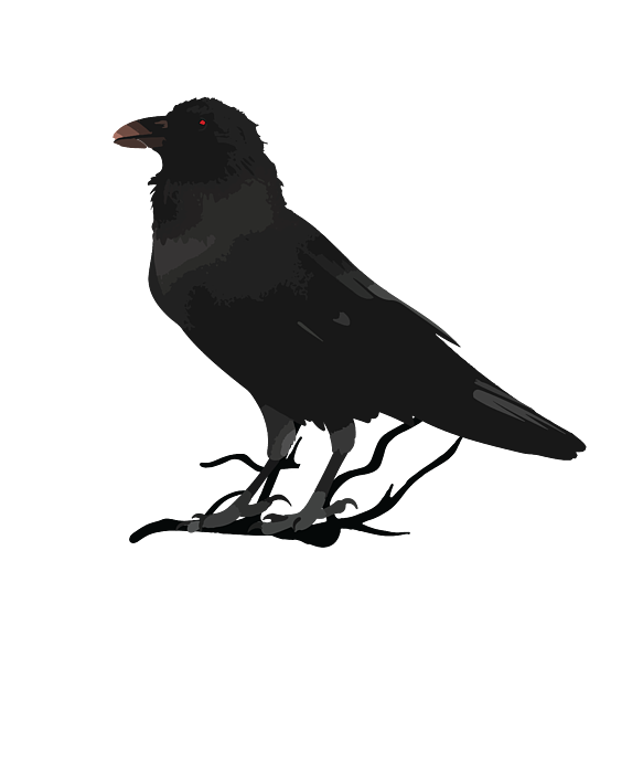 https://images.fineartamerica.com/images/artworkimages/medium/3/black-gothic-crow-raven-eap-nevermore-gift-art-grabitees-transparent.png