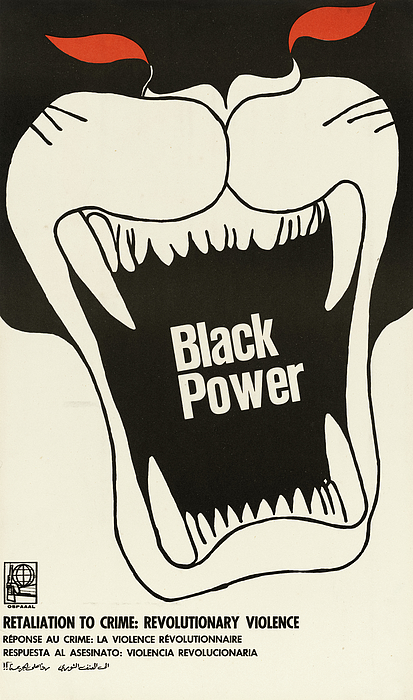 Black Panther Party - Visibly Black