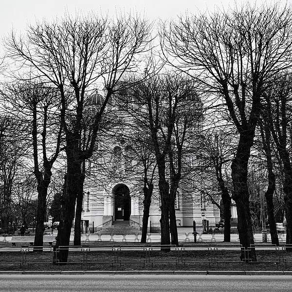 Jouko Lehto - Black trees and Nativity Of Christ Cathedral. Riga 2024 bw
