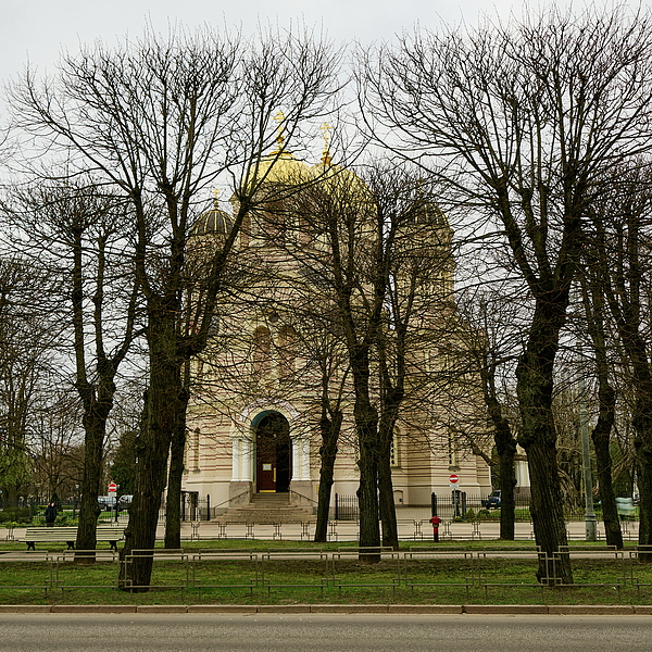 Jouko Lehto - Black trees and  Nativity Of Christ Cathedral. Riga 2024