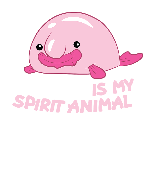 Blobfish Is My Spirit Animal Funny Blobfish Meme Cute Gift Ladies Missy Fit  Long Sleeve Shirt