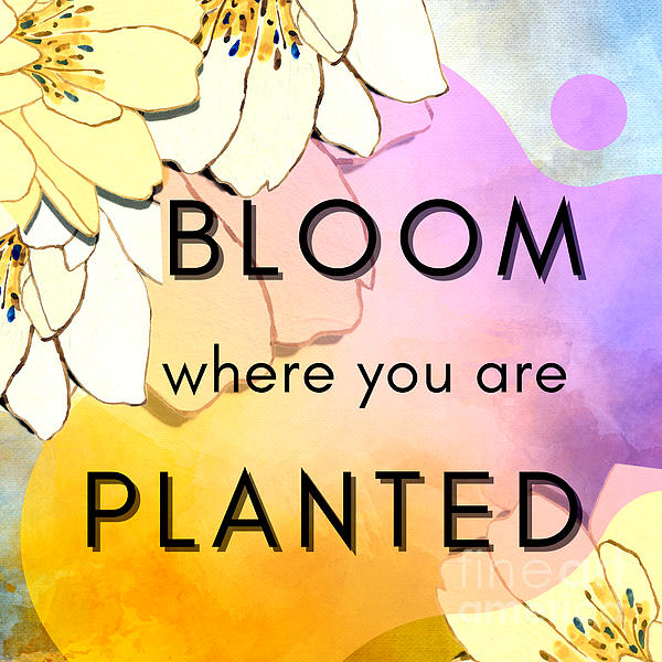 Bloom Where Planted Sticker, 3x3 in.