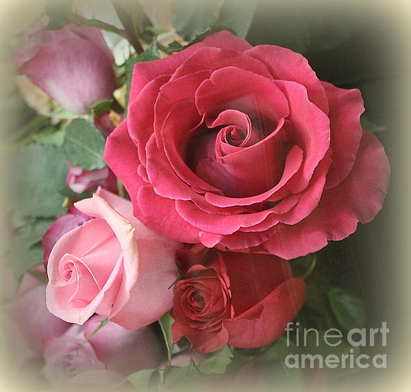 Dora Sofia Caputo - Blooming Beauties - Pink Garden Roses 