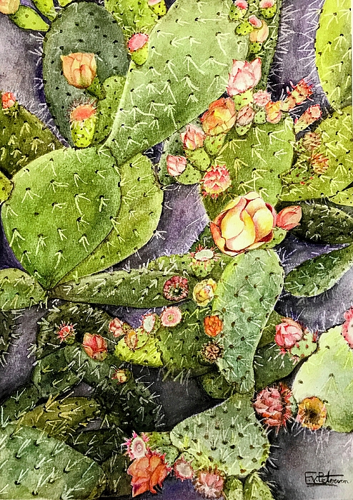 Elaine Peterson - Blooming Prickly pear