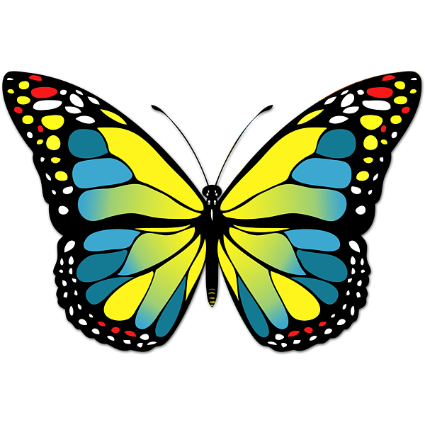 Blue and yellow butterfly Sticker by Gaspar Avila - Fine Art America