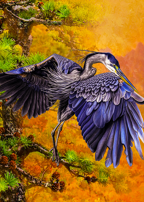 Jeff Burgess - Blue Heron and pine