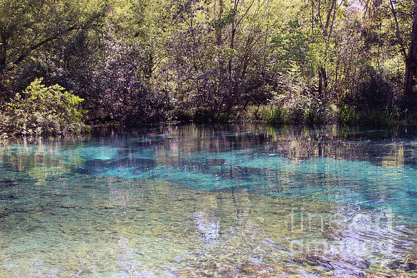 Brenda Harle - Blue Hole II - Ichetucknee Springs