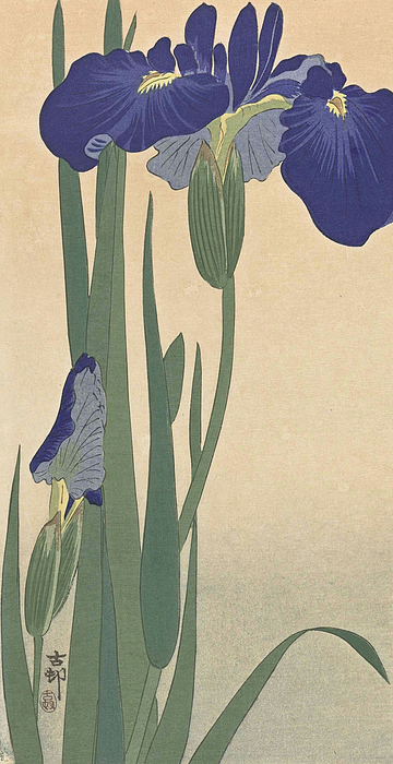 Ohara Koson Paintings