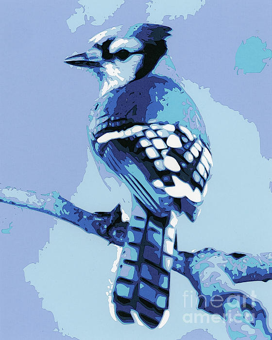 Blue Jay Bird Drawings for Sale (Page #2 of 3) - Fine Art America