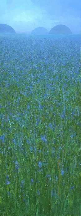 Steve Mitchell - Blue Meadow 1