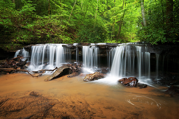 Dave Allen - Blue Ridge Waterfalls - Perpetuelles Appalachian Waterfall
