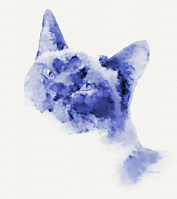 Cat Digital+art