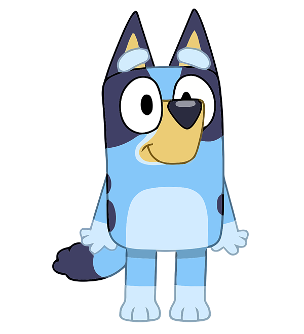 Bluey This Episode Is Called Preschool Tshirt ~ Grab Your Size! New 4T