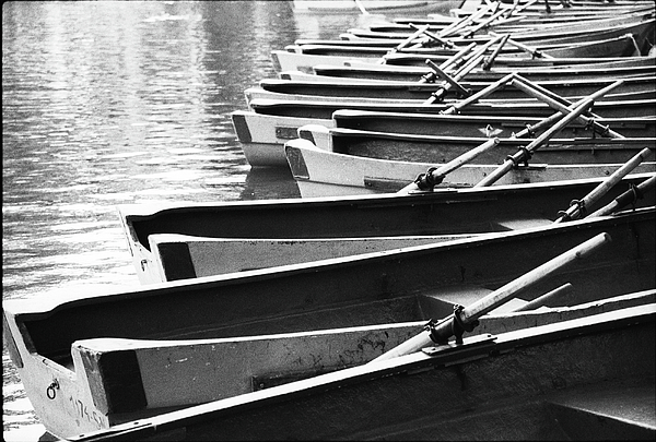 Livia Averche - Boats and Oars