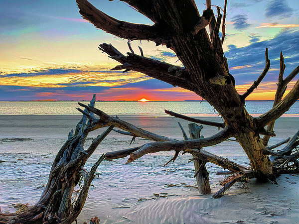 Bill Swartwout - Boneyard Sunset on Jekyll Island, GA