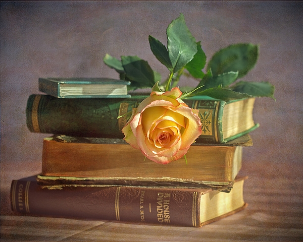 https://images.fineartamerica.com/images/artworkimages/medium/3/books-with-rose-phyllis-stokes.jpg