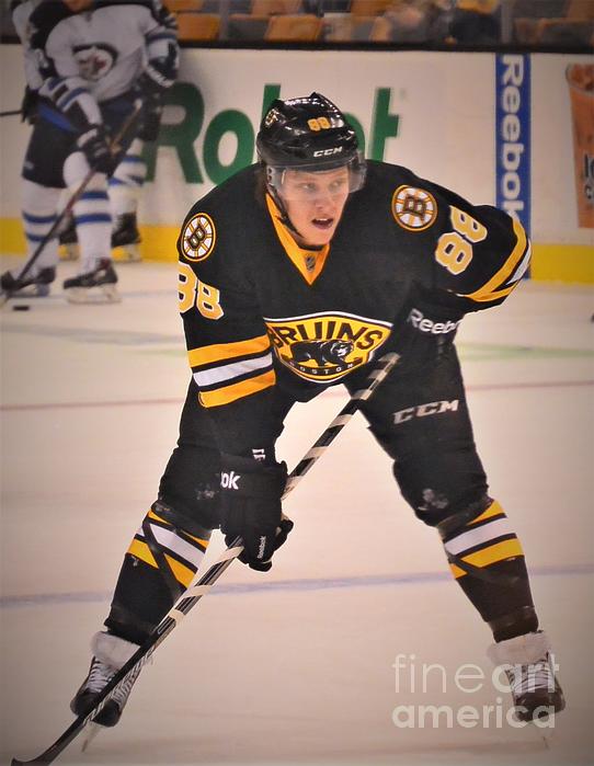Boston Bruins Team NHL National Hockey League 100% Polyester