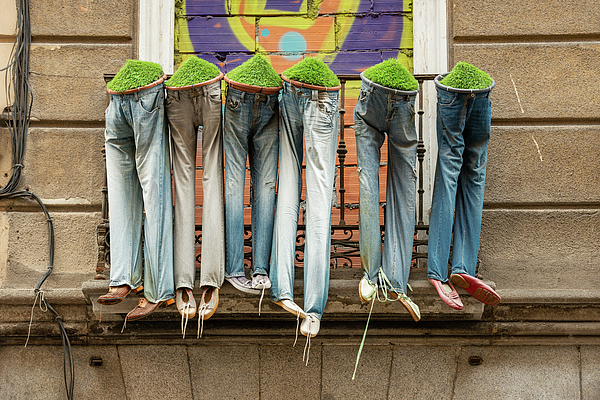 Eckart Mayer Photography - Botanical jeans and shoe collection