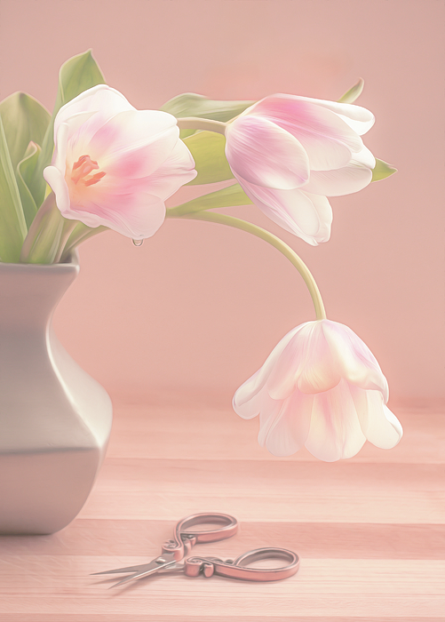 Sylvia Goldkranz - Bouquet of Three Tulips
