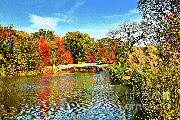 Bow Bridge and Autumn Perfection Greeting Card for Sale by Regina Geoghan