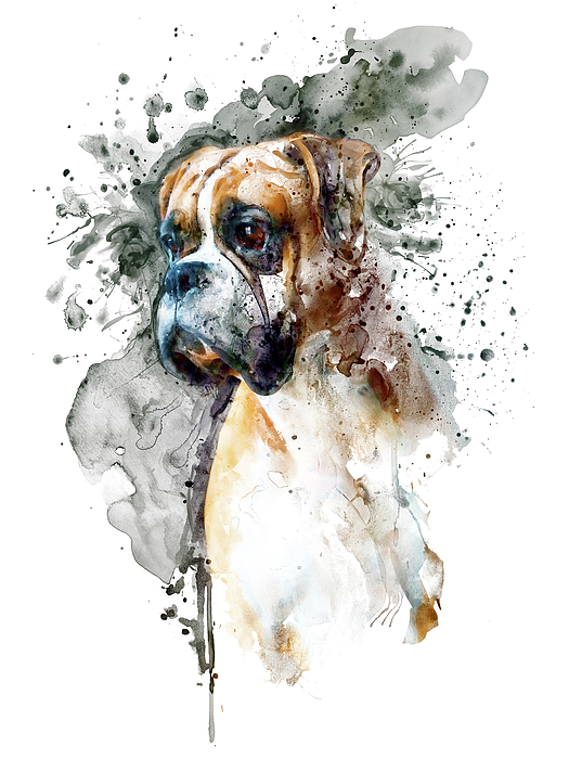 Marian Voicu - Boxer Dog Watercolor Portrait