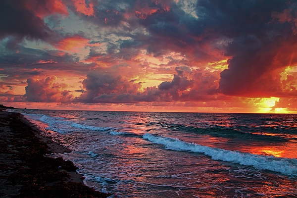 Dennis Baswell - Boynton Beach Sunset 