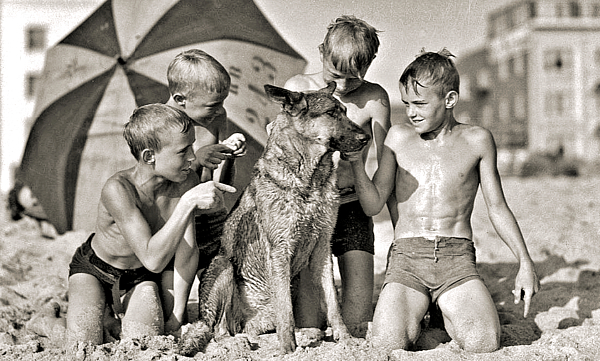 Boys kneeling in sand with dog in front of umbrella on Venice Beach c1934  Jigsaw Puzzle by Artistic Rifki - Pixels