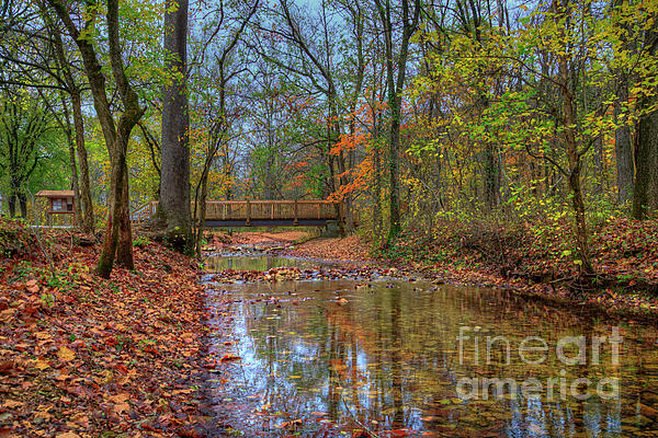Hdr Art