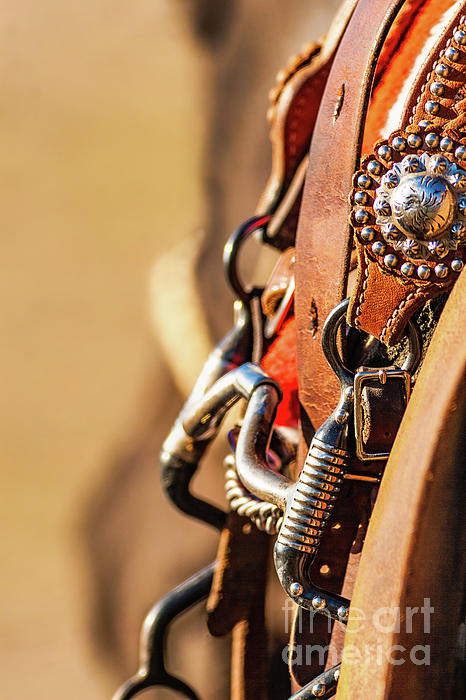 Bridle Horse Ornament