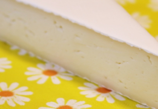 Brie Cheese Fleece Blanket