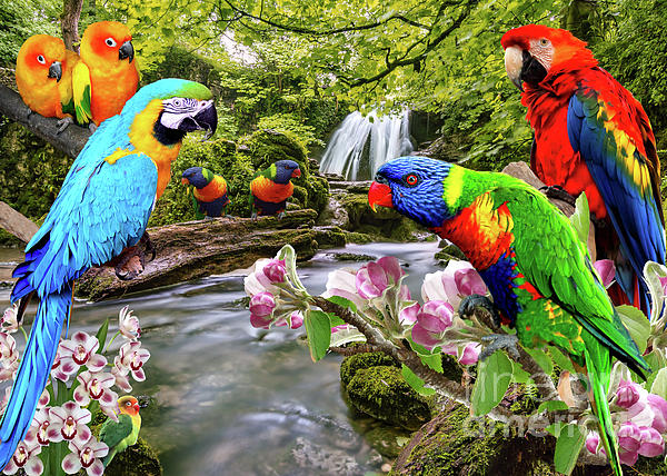 Colorful Cute Parrot print by Dreamscapes