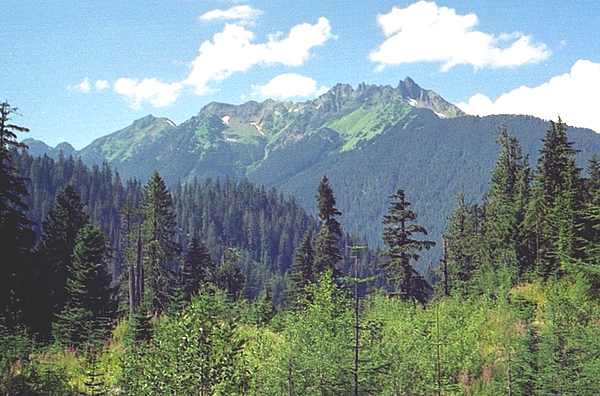 Susan Huckins - British Columbia Landscape.