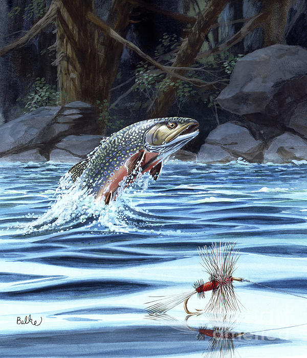 Trout Jigsaw Puzzles