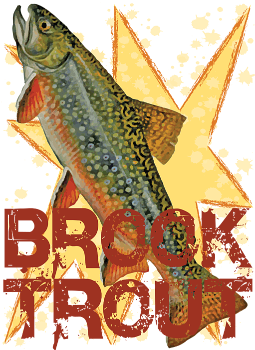 Brook Trout Sticker