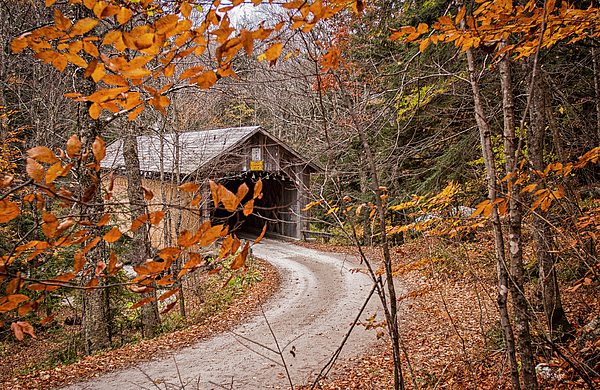 Fall Art