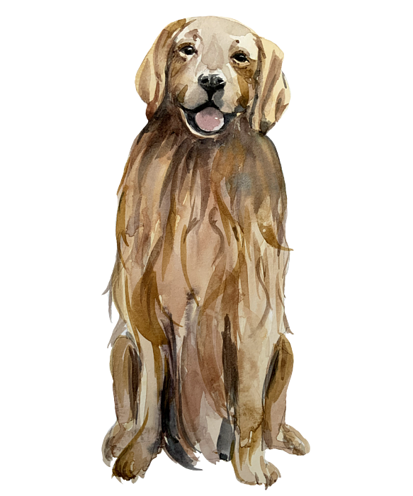 https://images.fineartamerica.com/images/artworkimages/medium/3/brown-watercolor-dog-gift-licensed-art-transparent.png