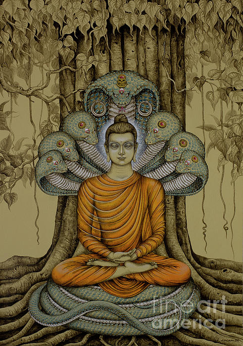 Buddha Greeting Card