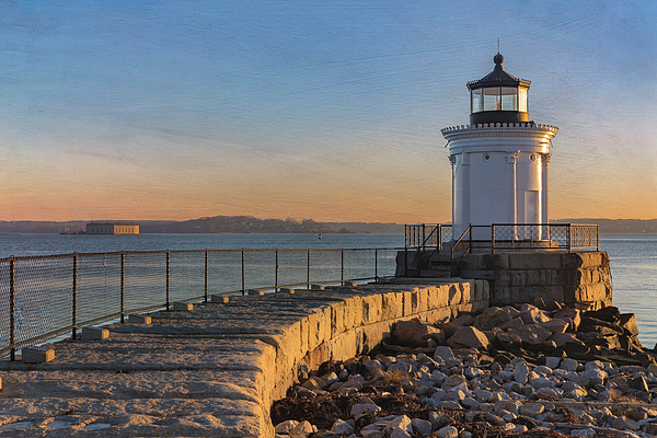Boundary bug light hotsell