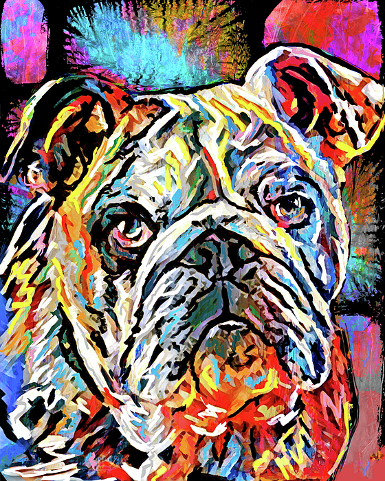 Bulldog fleece online blanket