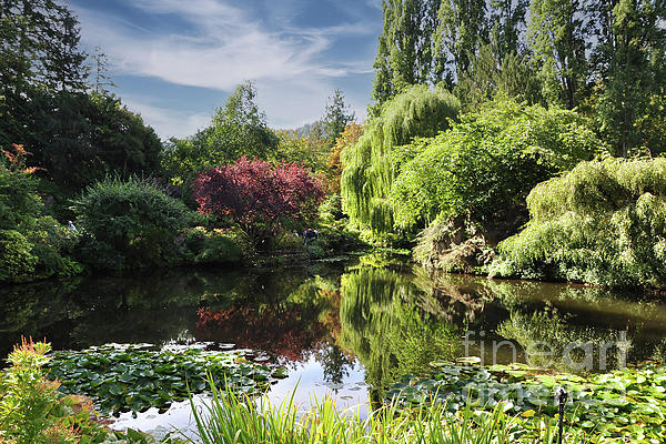 Kirt Tisdale - Butchart Gardens Pond
