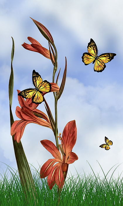 David Dehner - Butterflies In The Garden Pane 3 Round Seeded Cornflag Flower