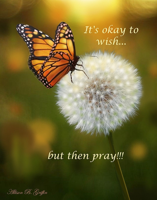 Allison Griffin - Butterfly and Dandelion- with motivational quote